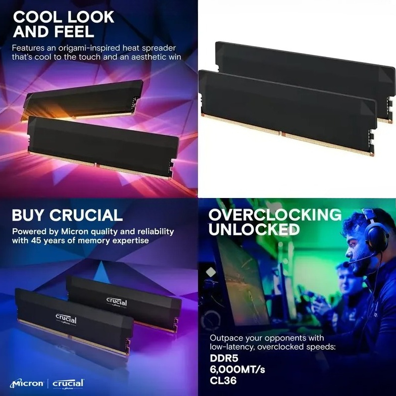 Ddr5 32Gb - AMD EXPO DDR5 32GB 키트 16GBx2