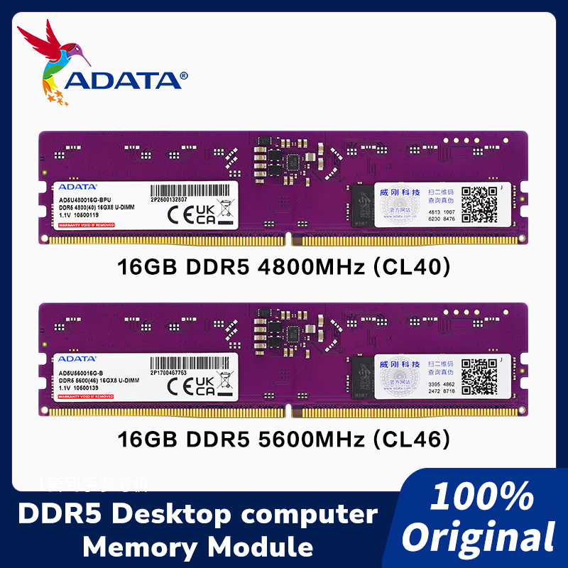 ADATA DDR5 288핀 DIMM DRAM 모듈 1 - Ddr5 4800Mhz 리뷰 및 가격