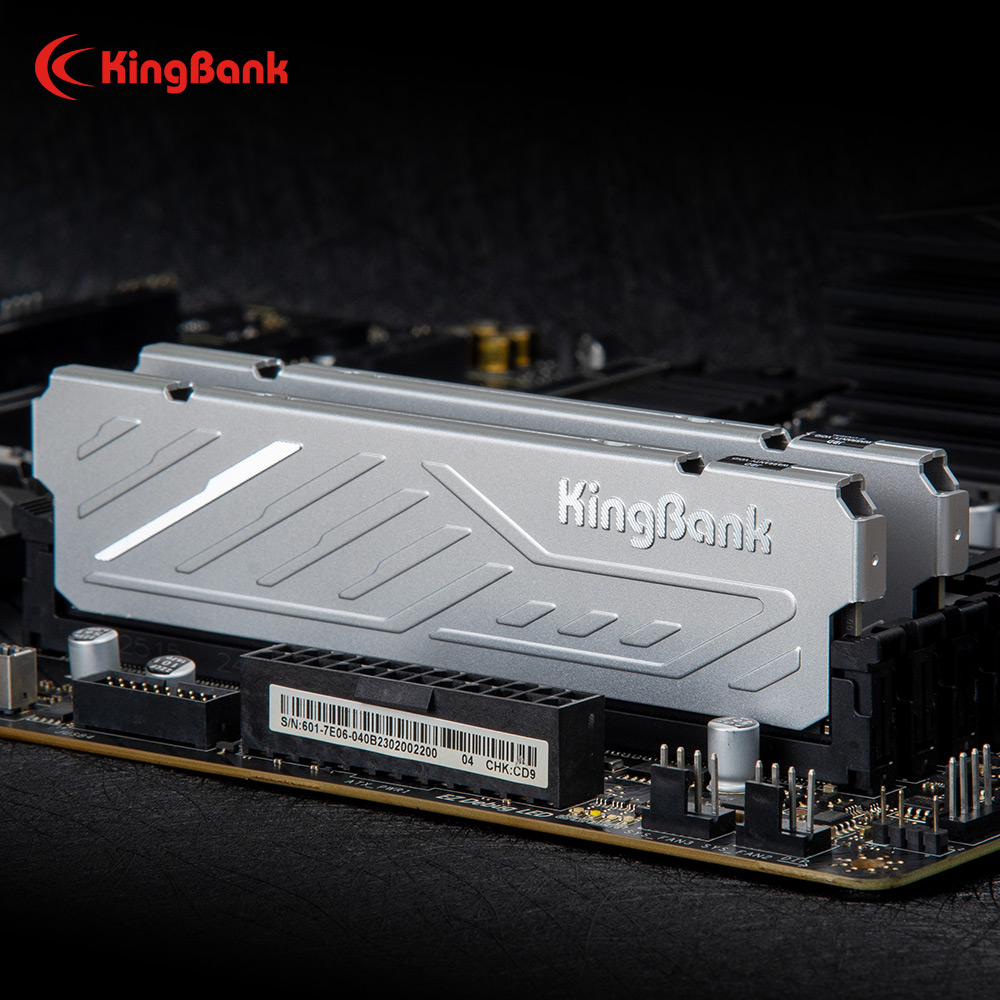 킹뱅크 KJXS DDR5 RAM 8GB/16GB 키트  - Ddr5 16Gb 6000Mhz 리뷰 및 가격