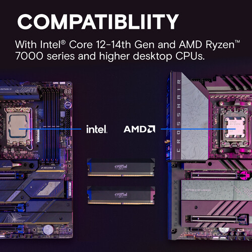 32GB DDR5 6000MHz RAM 키트, 16GB - Ddr5 32Gb 리뷰 및 가격