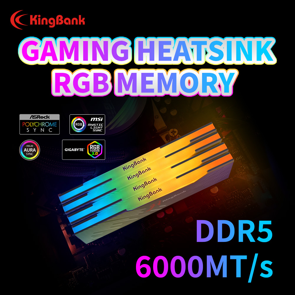 킹뱅크 KRRB DDR5 RGB 소어블레이드 시리즈 3 - Ddr5 64Gb 리뷰 및 가격