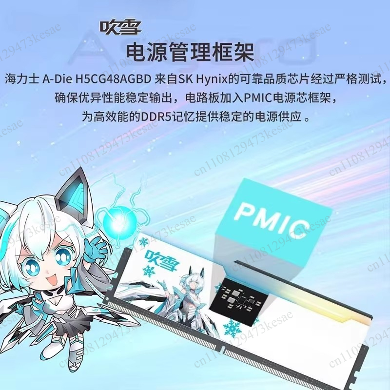 추이쉬에(Chuixue)와 협력하여 제작된 DDR5 D - Ddr5 64Gb 리뷰 및 가격