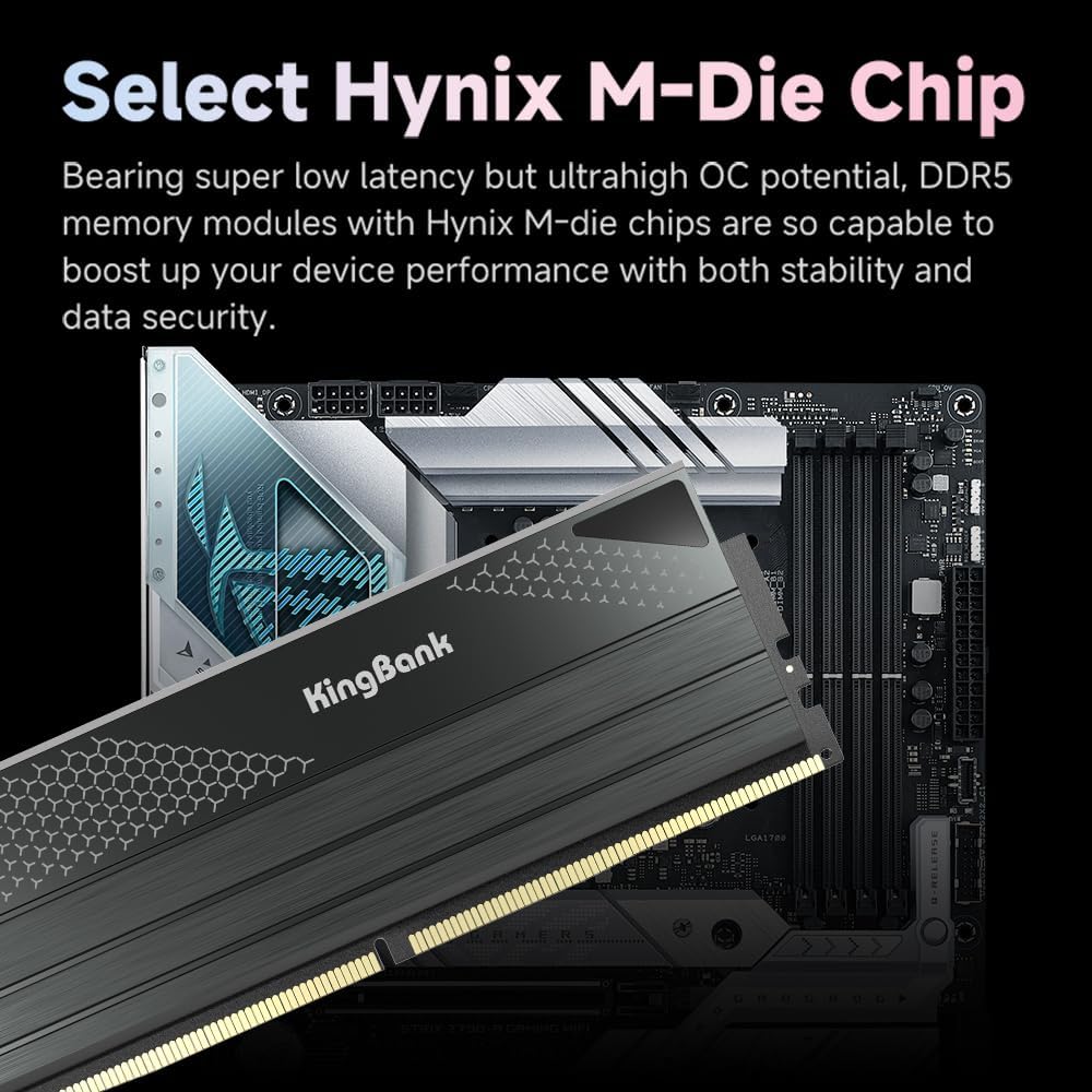 킹뱅크 DDR5 KFXB 메모리 48GB(24GBx2) - Ddr5 4800Mhz 리뷰 및 가격