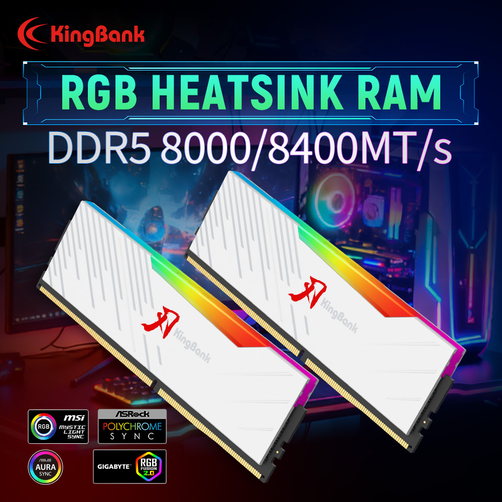 킹뱅크 KRRW DDR5 RAM 48GB (24GBx2 - Ddr5 4800Mhz 리뷰 및 가격